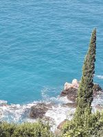 Argille in cerca di cesure - - Pina Majone Mauro